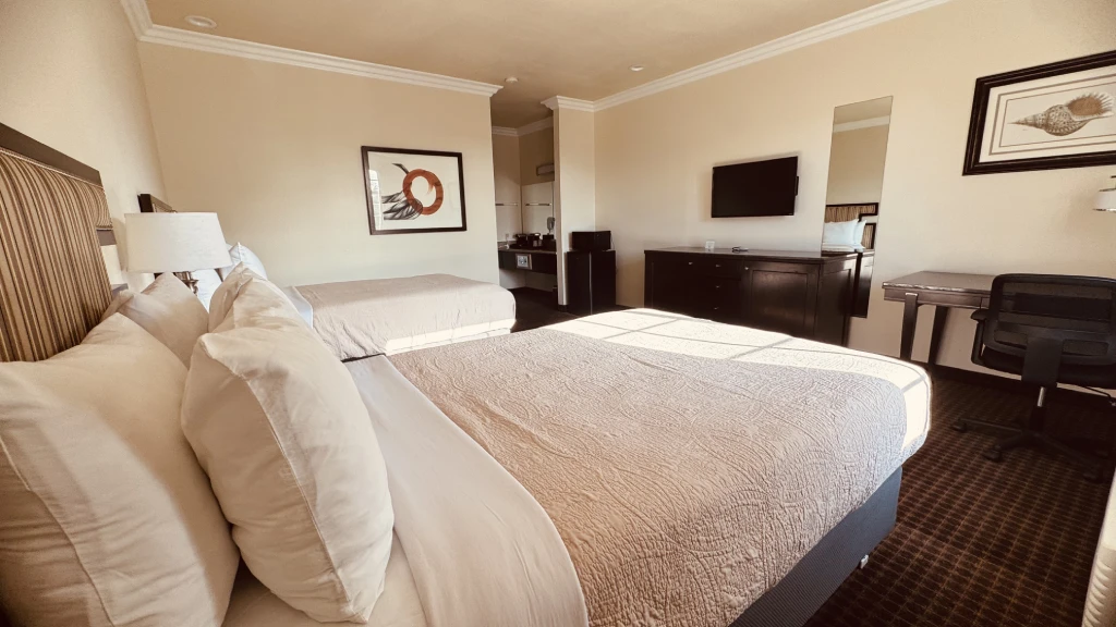 Double Bed Room image